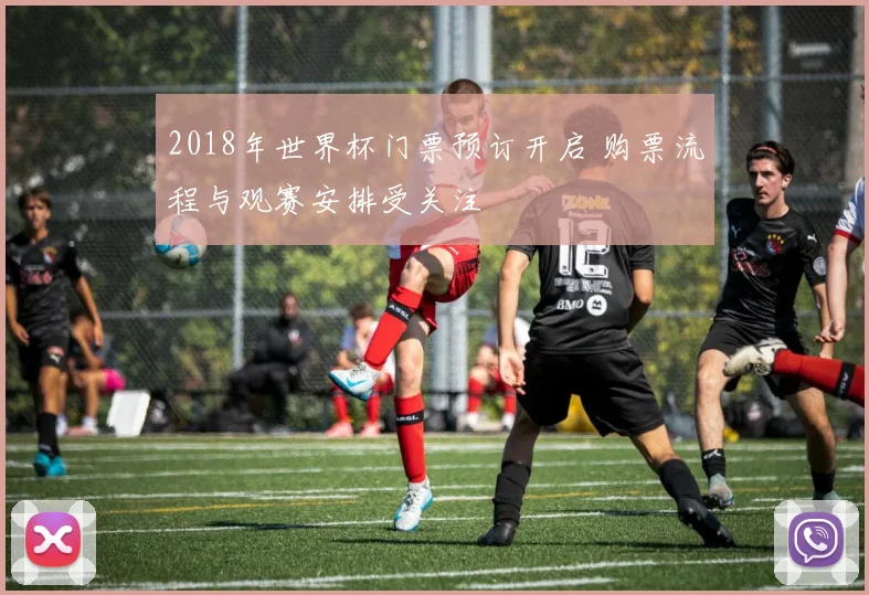 2018年世界杯门票预订开启 购票流程与观赛安排受关注