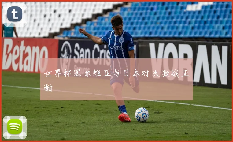 世界杯塞尔维亚与日本对决激战正酣