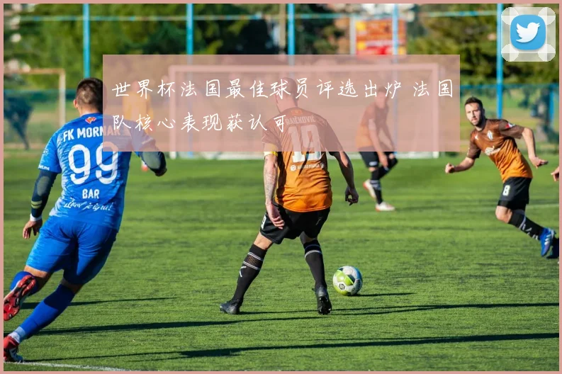 世界杯法国最佳球员评选出炉 法国队核心表现获认可